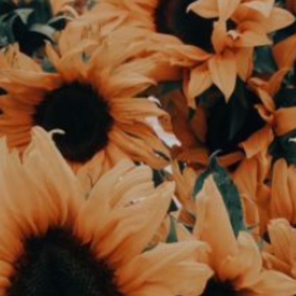lucy_hale04